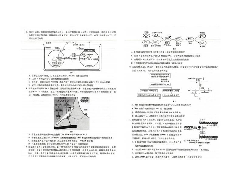【Top50强校】【重庆卷】重庆市巴蜀中学校2024-2025学年高三上学期适应性月考卷(三)(10.15-10.16)生物试卷第2页