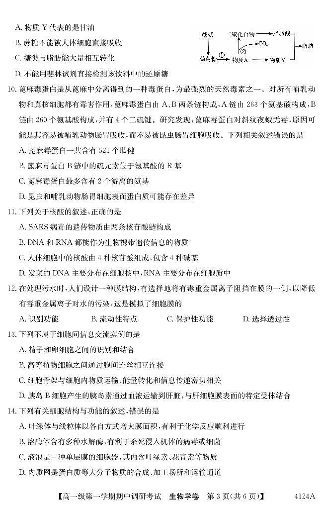 广东省清远市2023_2024学年高一生物上学期期中试题pdf03