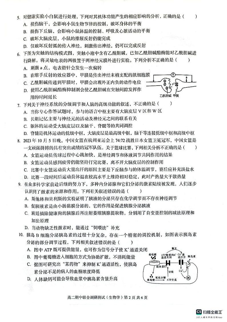 广西玉林市2023_2024学年高二生物上学期期中试题pdf第2页