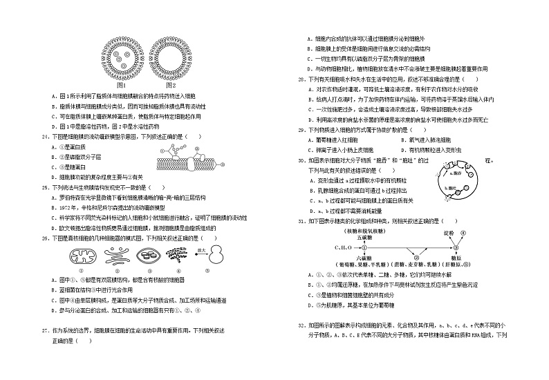 宁夏回族自治区银川市2023_2024学年高一生物上学期期中试题第3页