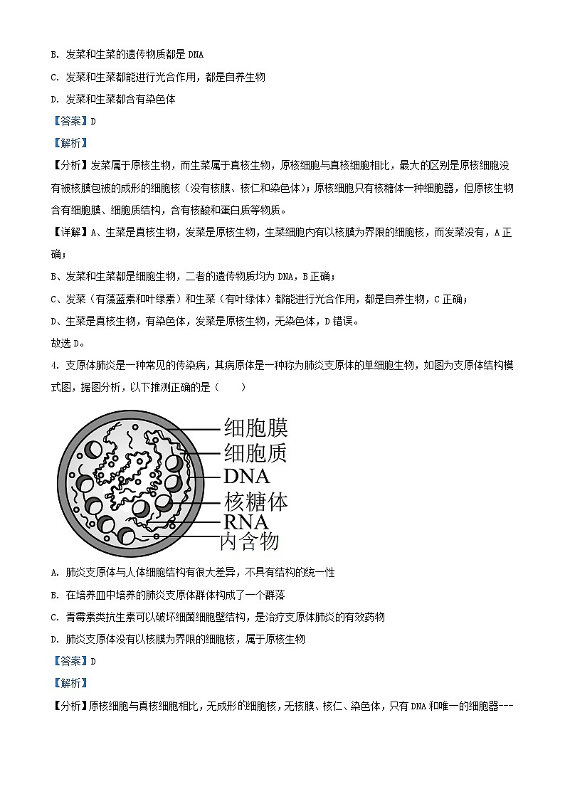 四川省内江市2023_2024学年高一生物上学期期中试题含解析02