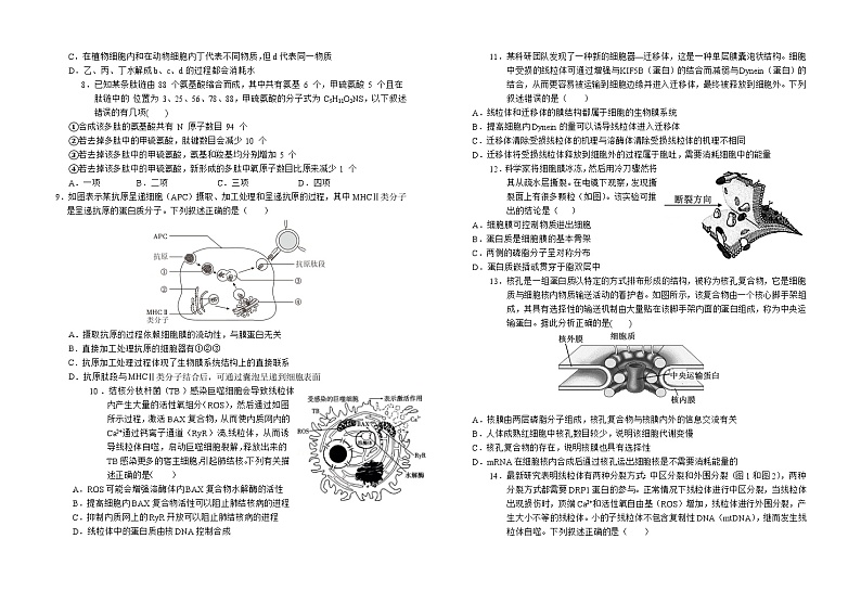 安徽省六安市第一中学2024-2025学年高一上学期11月期中生物试题第2页