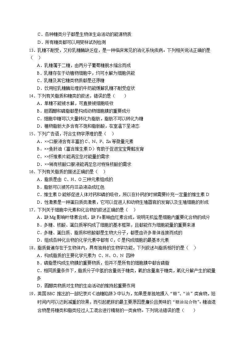 安徽省六安市裕安区六安市独山中学2024-2025学年高一上学期11月期中生物试题第3页
