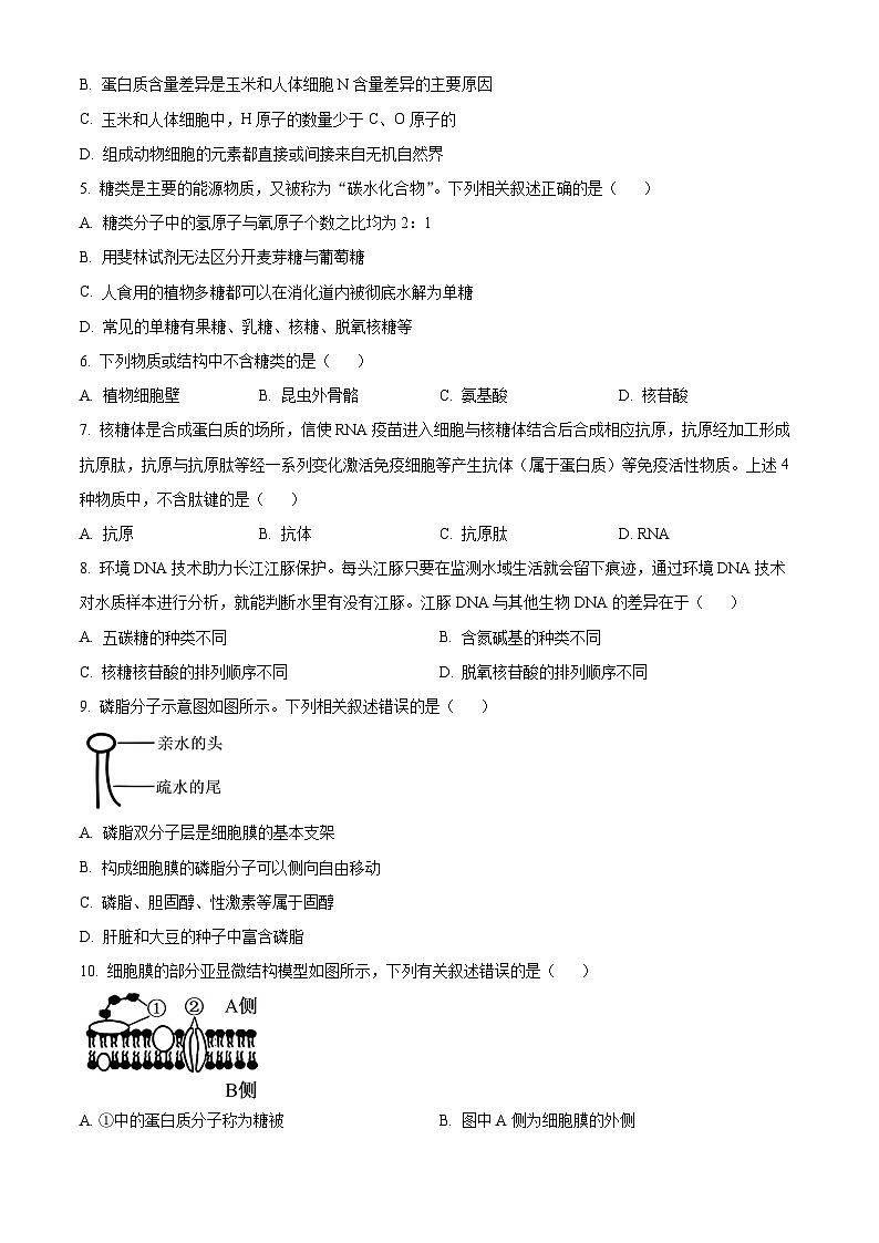 精品解析:河南省部分学校2024-2025年高一上学期期中考试生物试题(原卷版)第2页