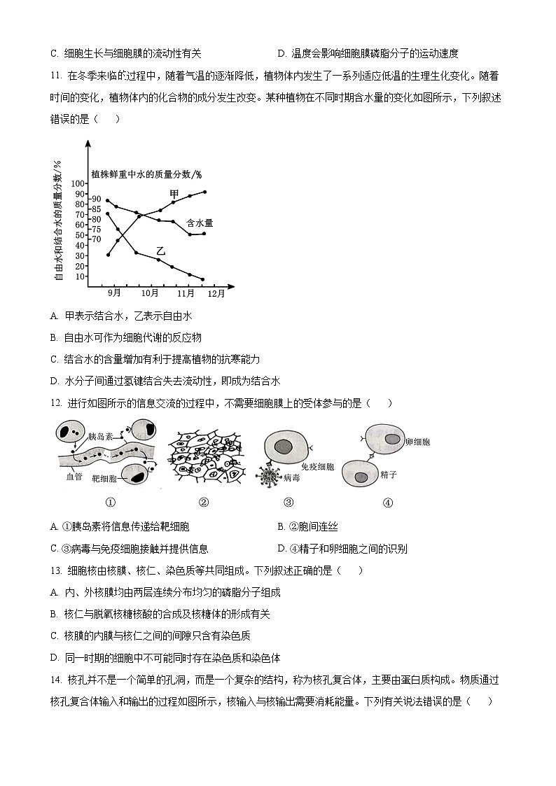 精品解析:河南省部分学校2024-2025年高一上学期期中考试生物试题(原卷版)第3页