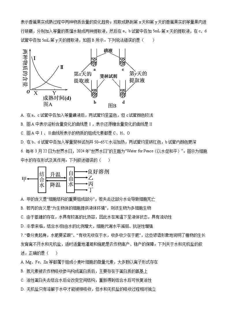 精品解析:河南省郑州外国语学校2024-2025学年高一上学期期中考试生物试卷(原卷版)第2页