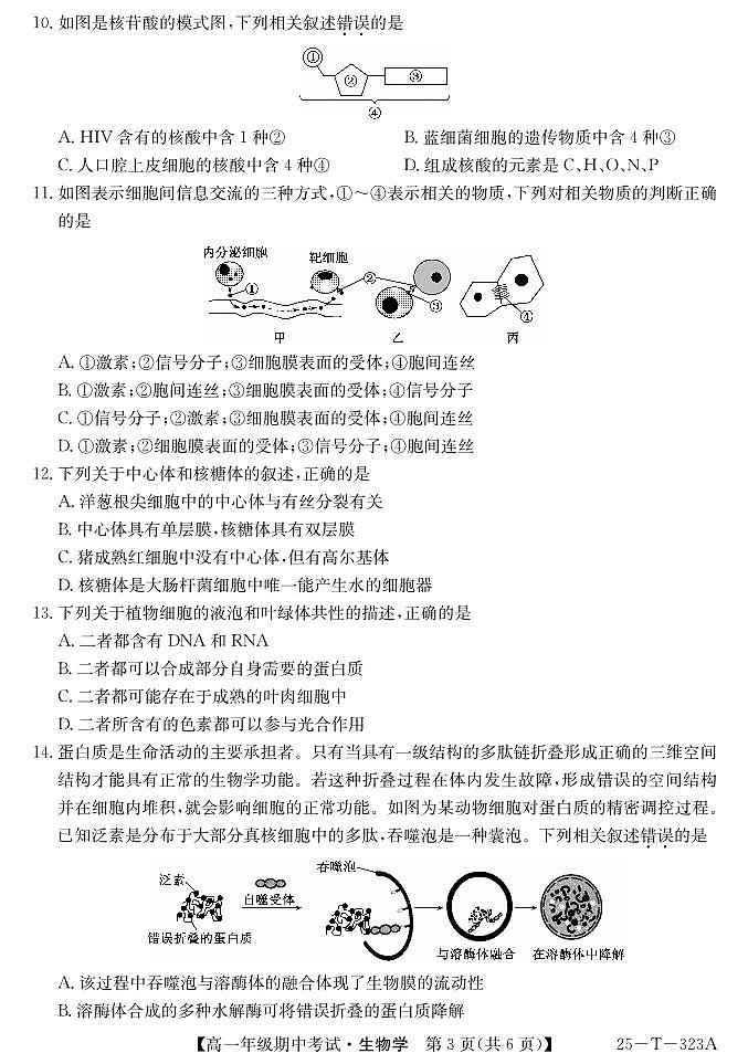 陕西省榆林市榆阳区榆林市镇川中学2024-2025学年高一上学期11月期中生物试题03