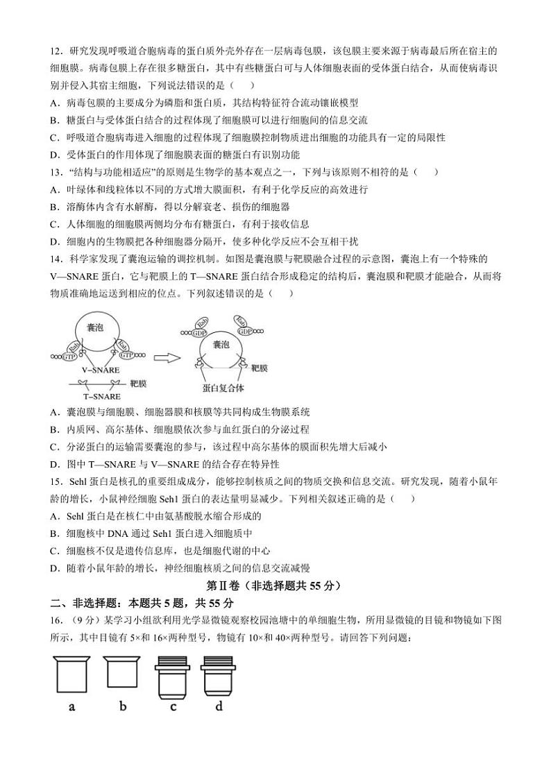 2024~2025学年安徽省蚌埠市A层高中高一(上)期中生物试卷(含答案)第3页