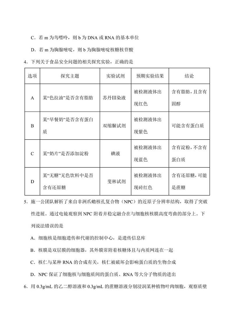 2024~2025学年山东省泰安市肥城市肥城市第三中学高一(上)期中生物试卷(含答案)第2页