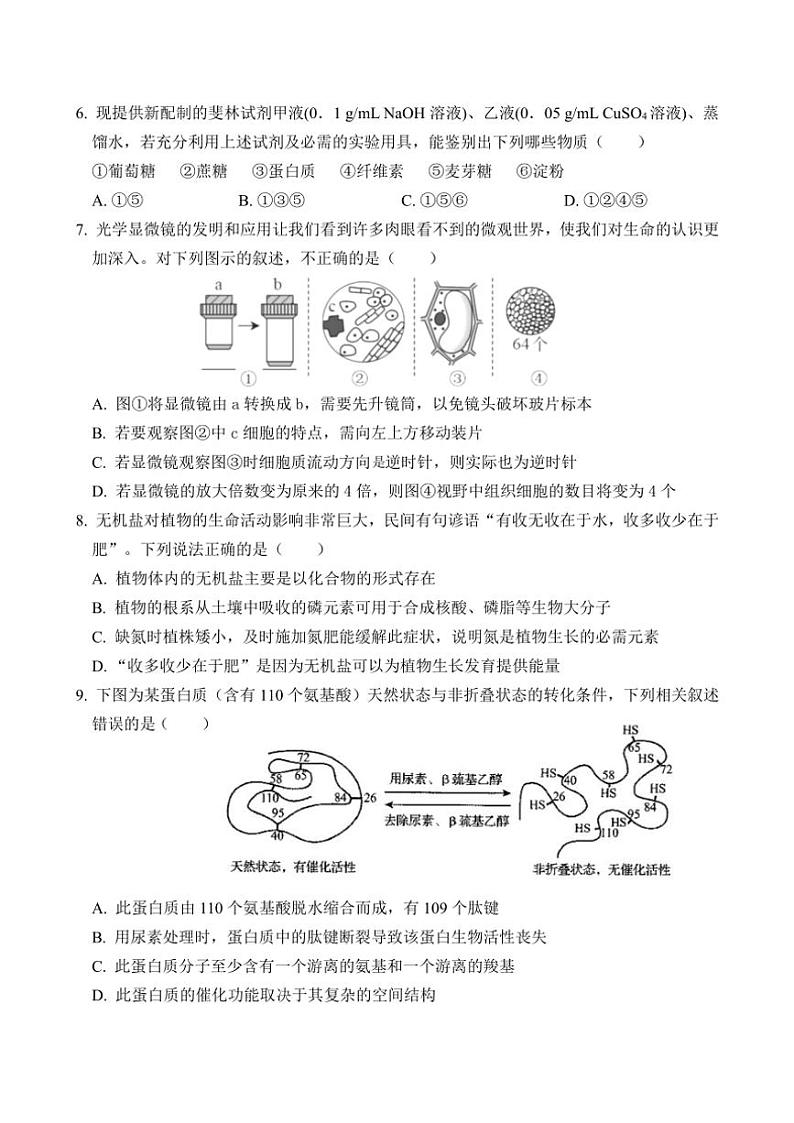 2024~2025学年福建省厦门市湖滨中学高一(上)期中生物试卷(含答案)第2页