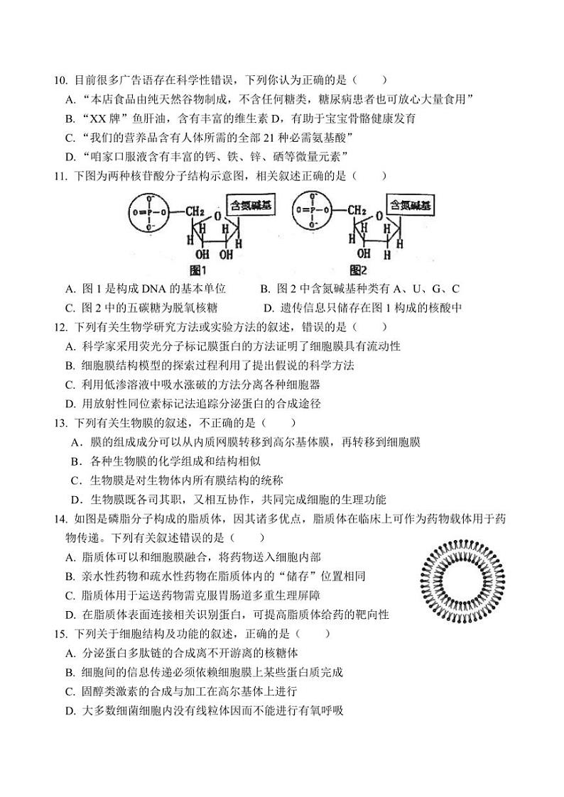 2024~2025学年福建省厦门市湖滨中学高一(上)期中生物试卷(含答案)第3页