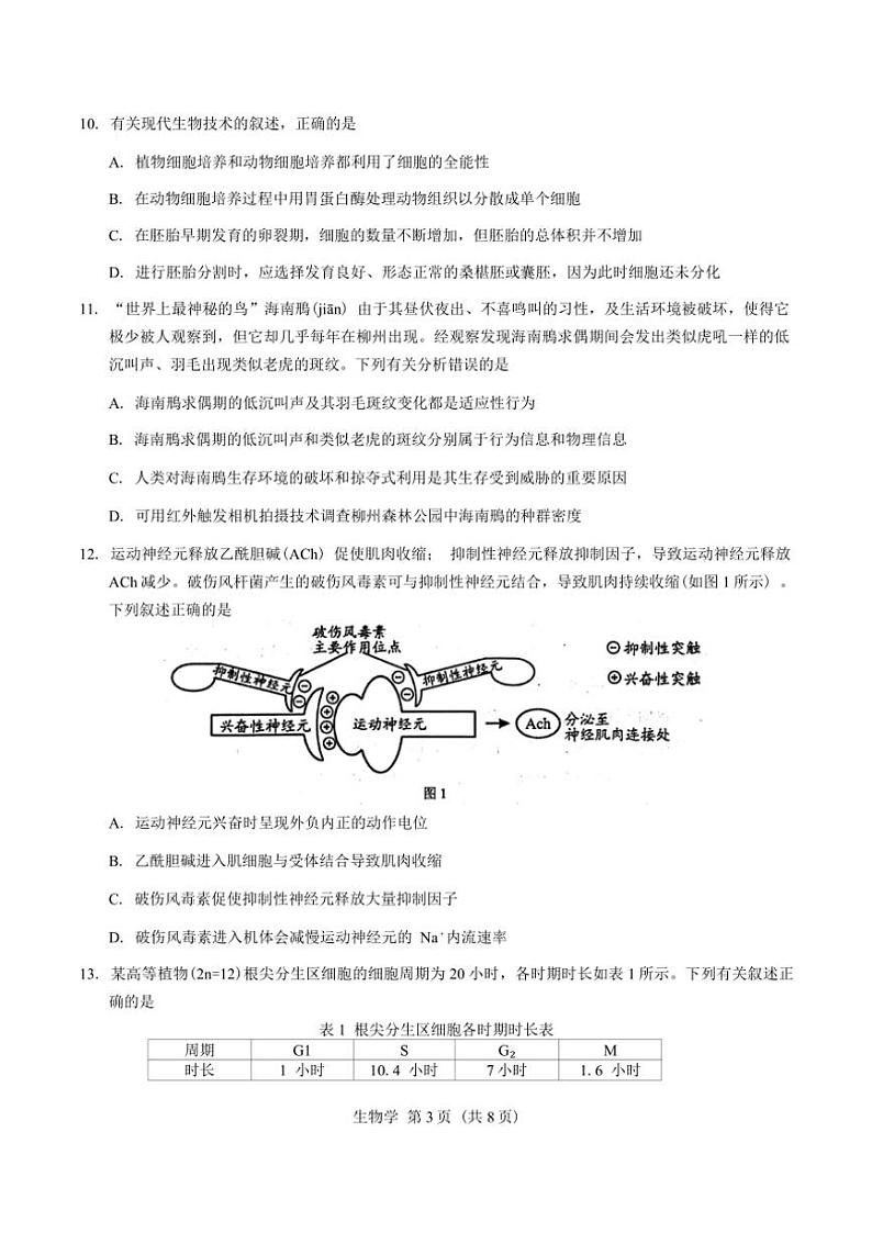 2025届广西柳州市高三第一次模拟考试生物试卷(含答案)第3页