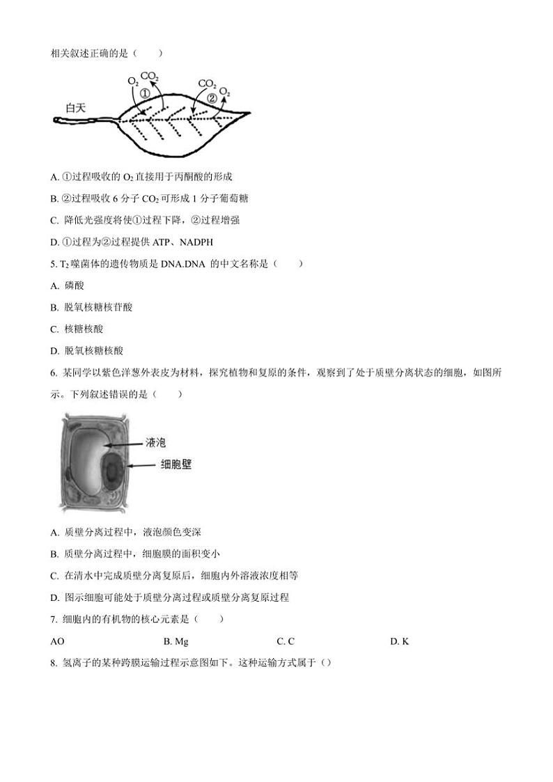 2024~2025学年浙江省杭州市第二中学高一(上)期中生物试卷(含答案)02