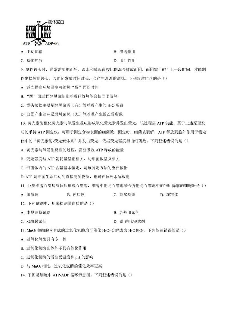 2024~2025学年浙江省杭州市第二中学高一(上)期中生物试卷(含答案)03