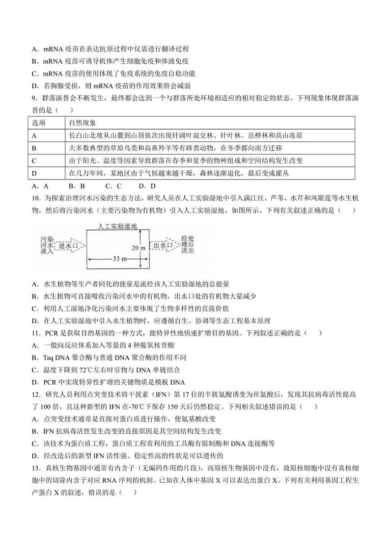 2024~2025学年河北省十县联考高三(上)期中生物试卷(含解析)03