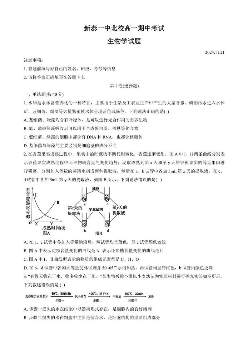 2024~2025学年山东省泰安市新泰市第一中学北校高一(上)期中生物试卷(含答案)第1页