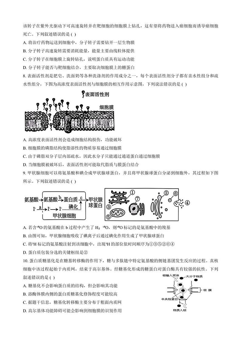 2024~2025学年山东省泰安市新泰市第一中学北校高一(上)期中生物试卷(含答案)第3页