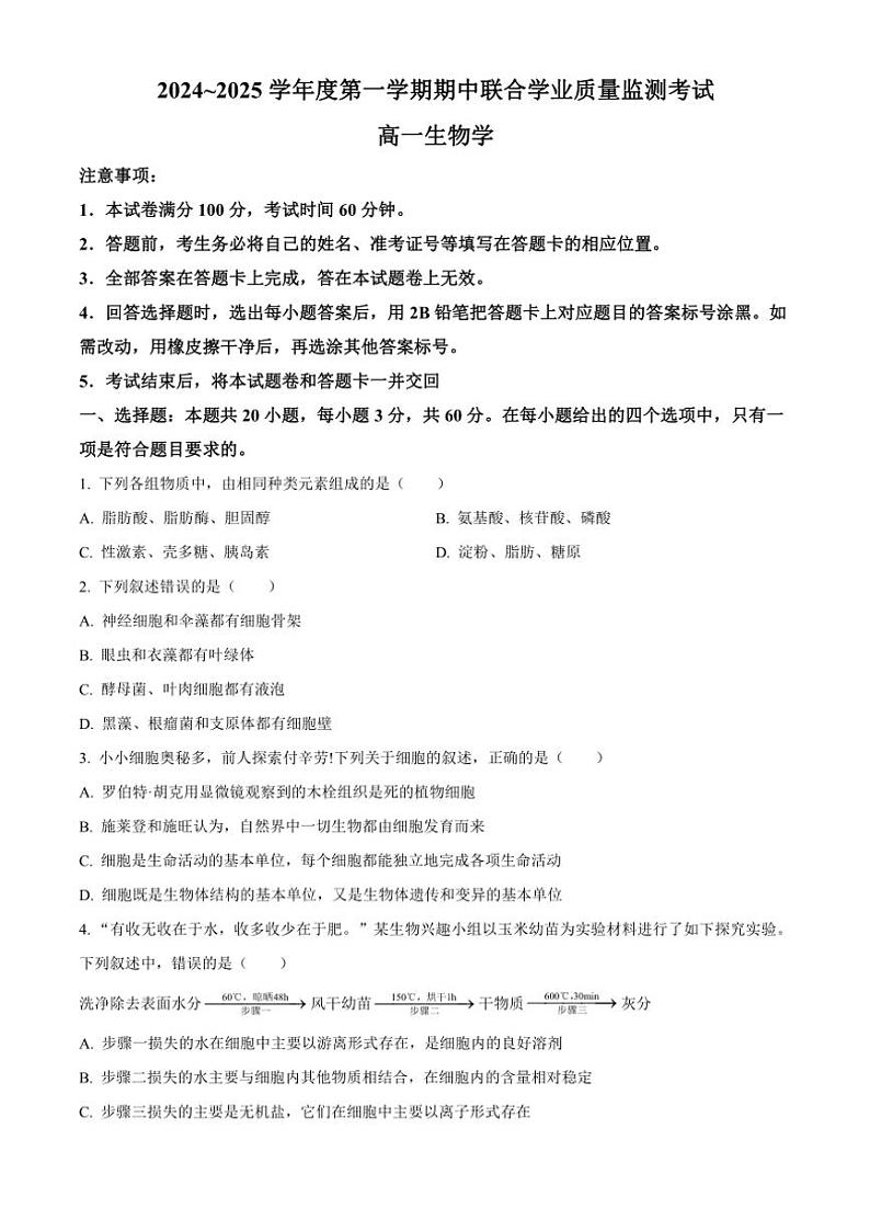 2024~2025学年广东省清远市九校高一(上)期中联考试卷生物(含答案)第1页