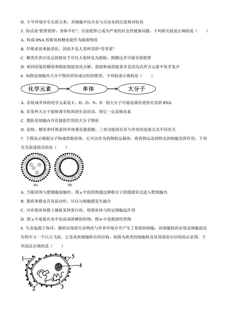2024~2025学年广东省清远市九校高一(上)期中联考试卷生物(含答案)第2页