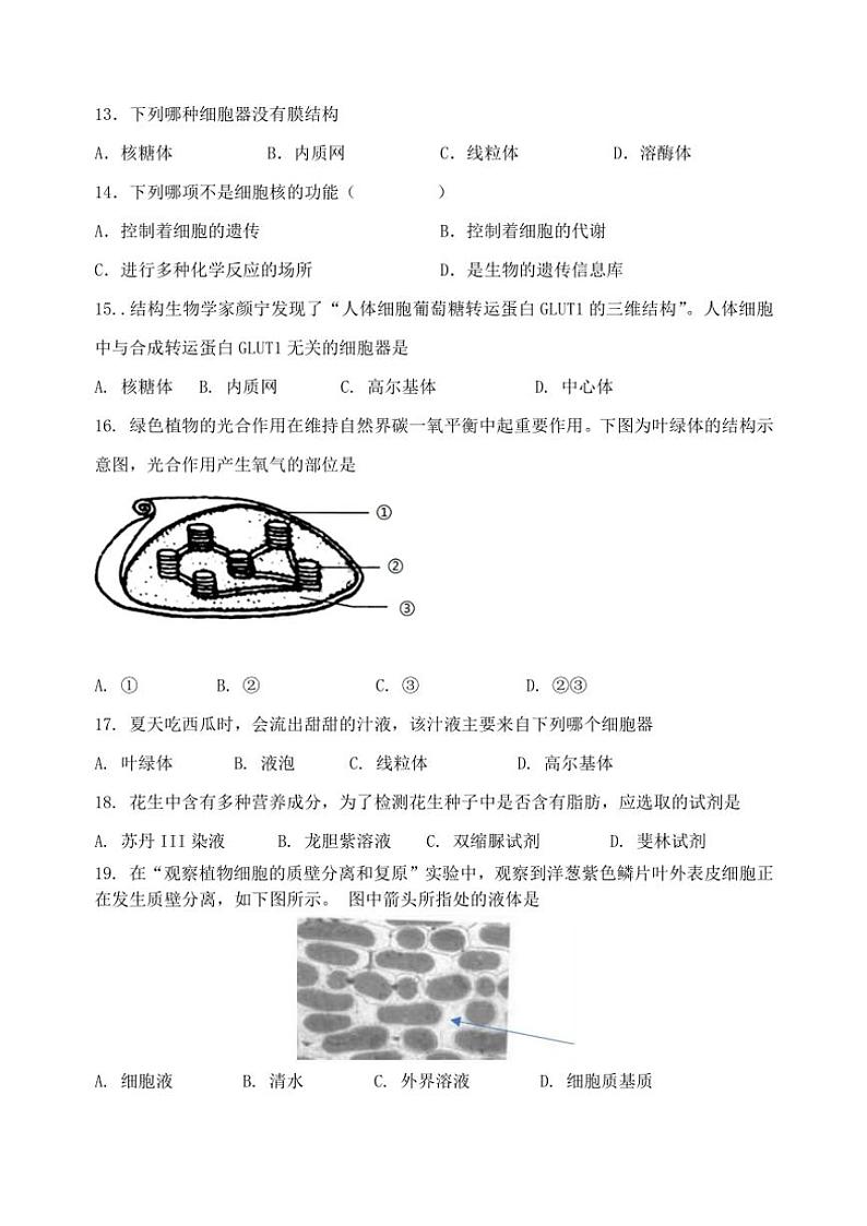 2024~2025学年江苏省无锡市江阴市某校高二(上)10月必修合格性考试生物试卷(含答案)第3页