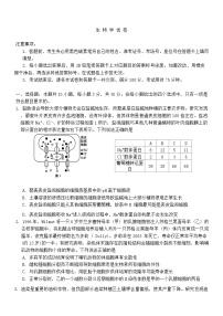 重慶市第八中學(xué)校2024-2025學(xué)年高三上學(xué)期期中考試生物試題