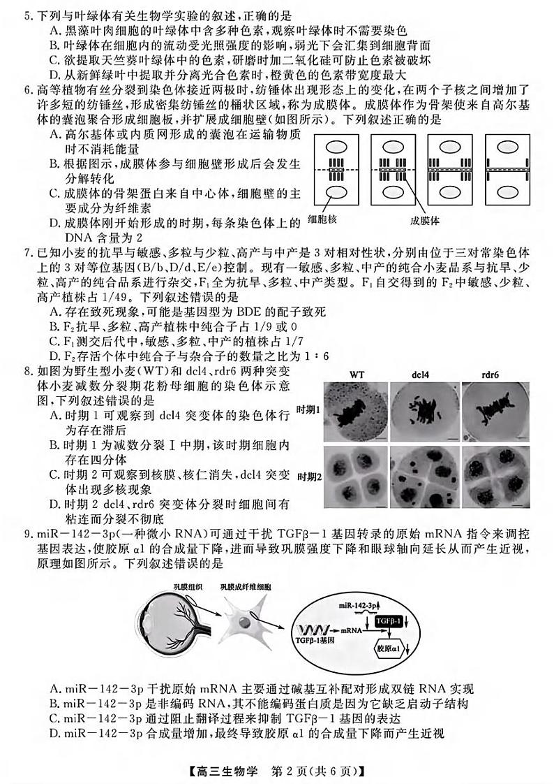 生物丨金科新未来大联考河南省2025届高三上学期11月质量检测生物试卷及答案第2页