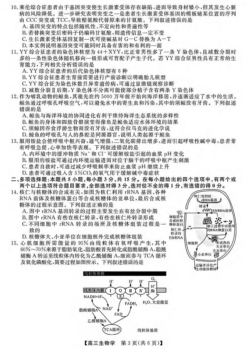 生物丨金科新未来大联考河南省2025届高三上学期11月质量检测生物试卷及答案第3页