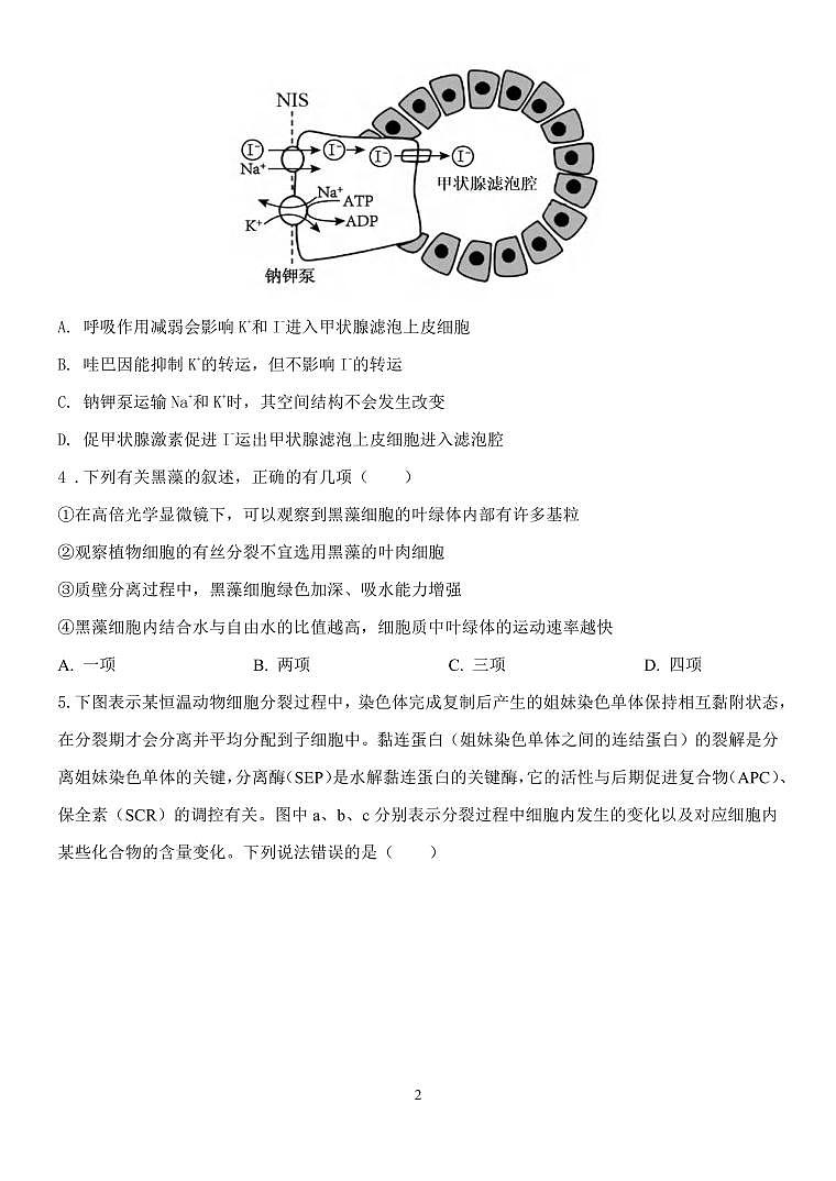 生物丨云南省玉溪市一中2025届高三上学期11月期中考试生物试卷及答案第2页