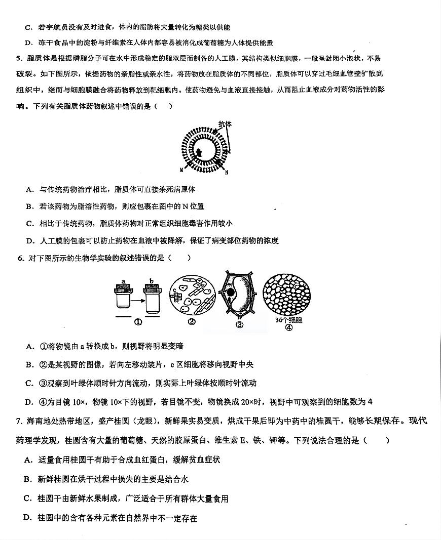 海南省先鋒聯(lián)盟2024-2025學(xué)年高一上學(xué)期11月期中考試 生物 PDF版含答案第2頁(yè)