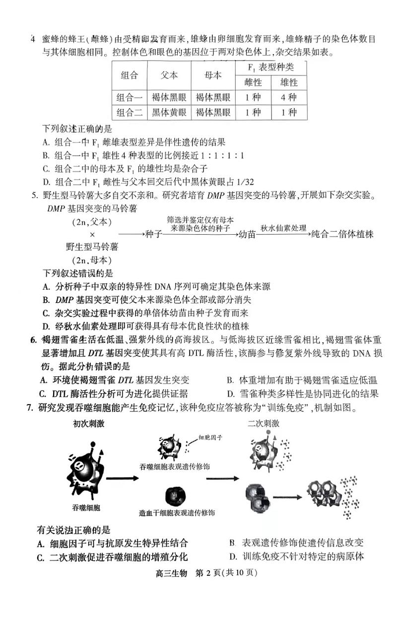 2023北京市朝阳区高三年级第二学期质量检测二生物试卷第2页