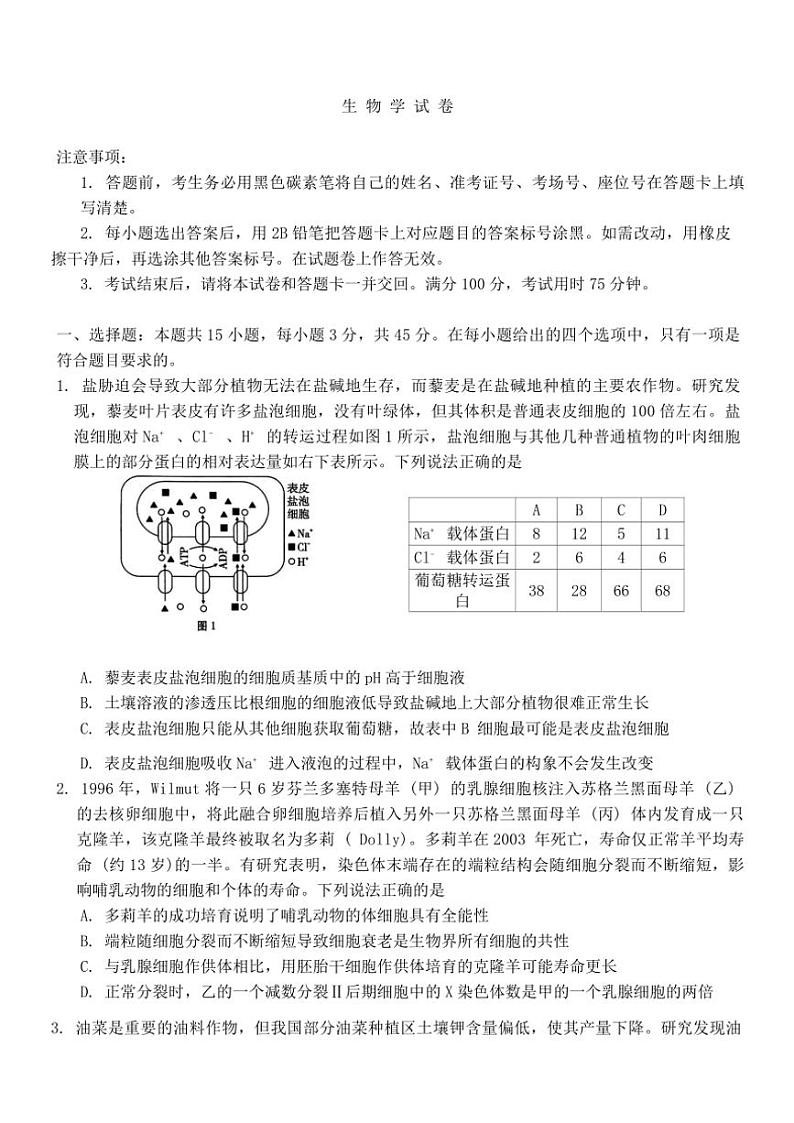 重庆市第八中学校2024~2025学年高三(上)期中生物试卷(含答案)第1页