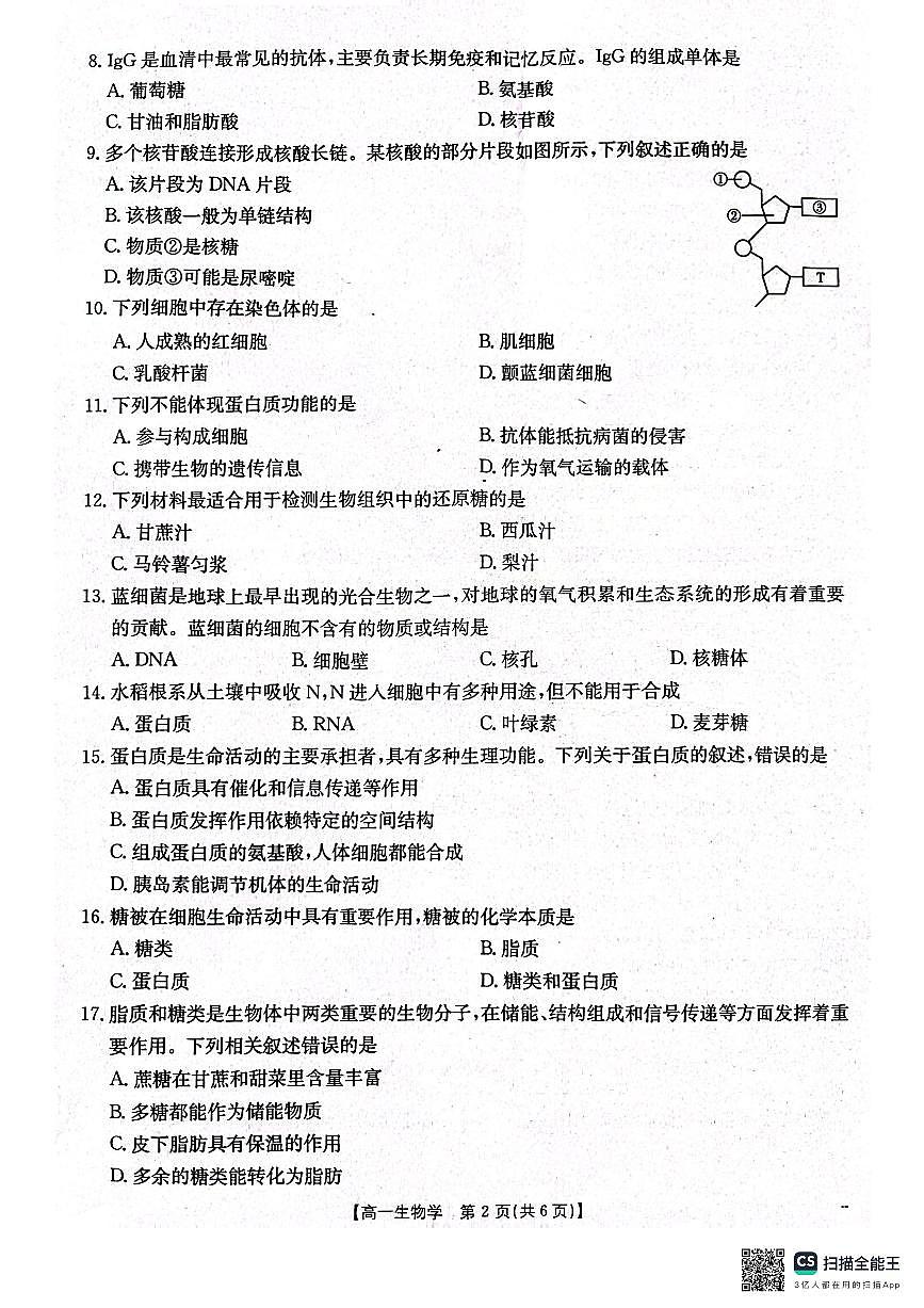 遼寧省遼陽市2024-2025學(xué)年高一上學(xué)期期中考試生物試卷第2頁