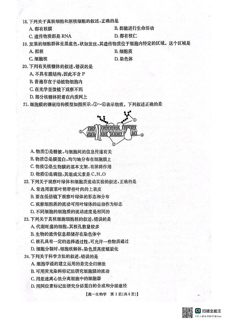 遼寧省遼陽市2024-2025學(xué)年高一上學(xué)期期中考試生物試卷第3頁