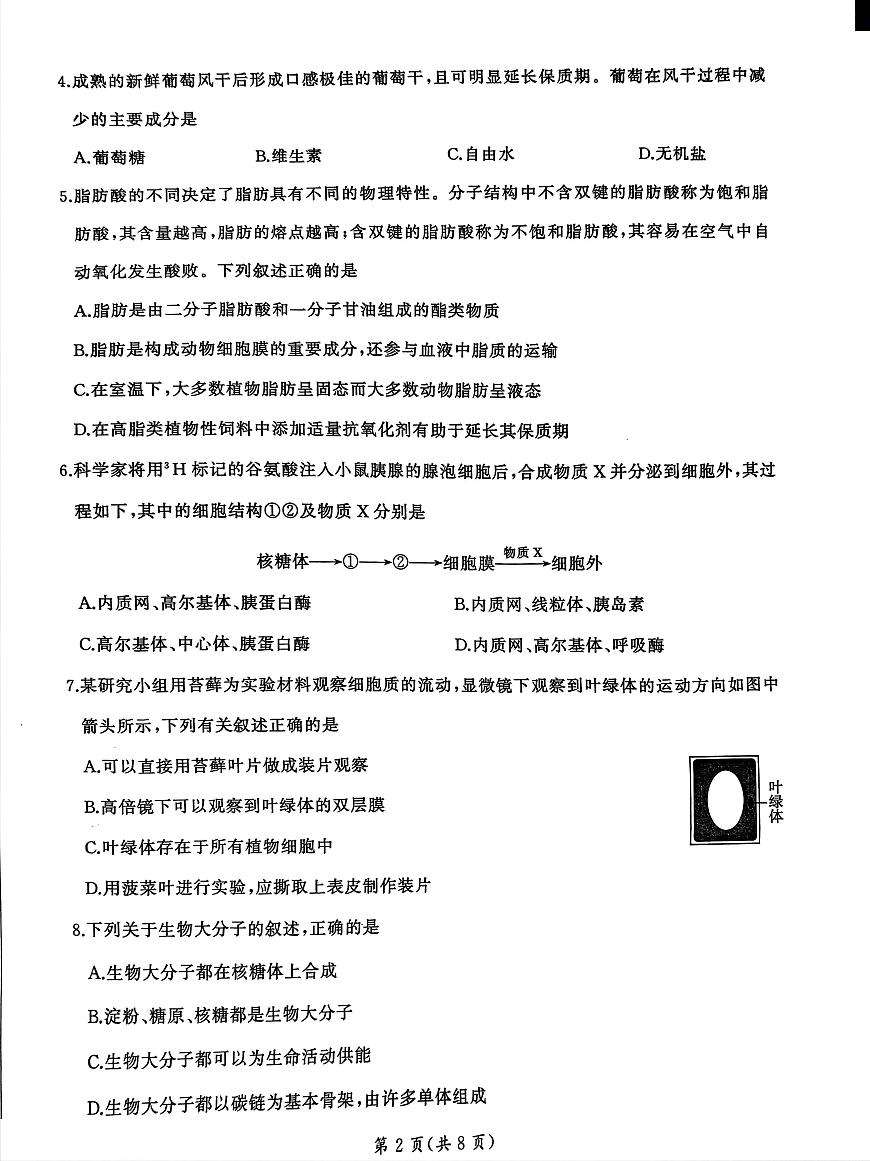 河南省南陽市第三高級(jí)中學(xué)2023—2024學(xué)年高一上學(xué)期10月聯(lián)考生物試題第2頁