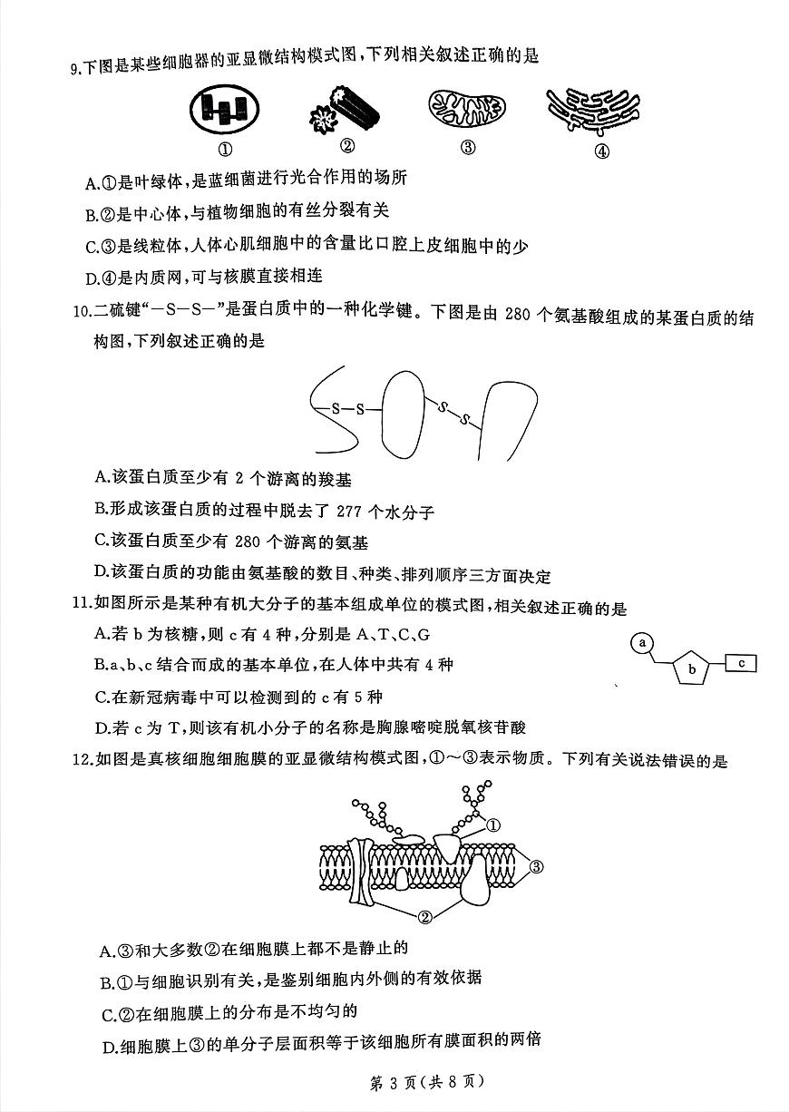 河南省南陽市第三高級(jí)中學(xué)2023—2024學(xué)年高一上學(xué)期10月聯(lián)考生物試題第3頁