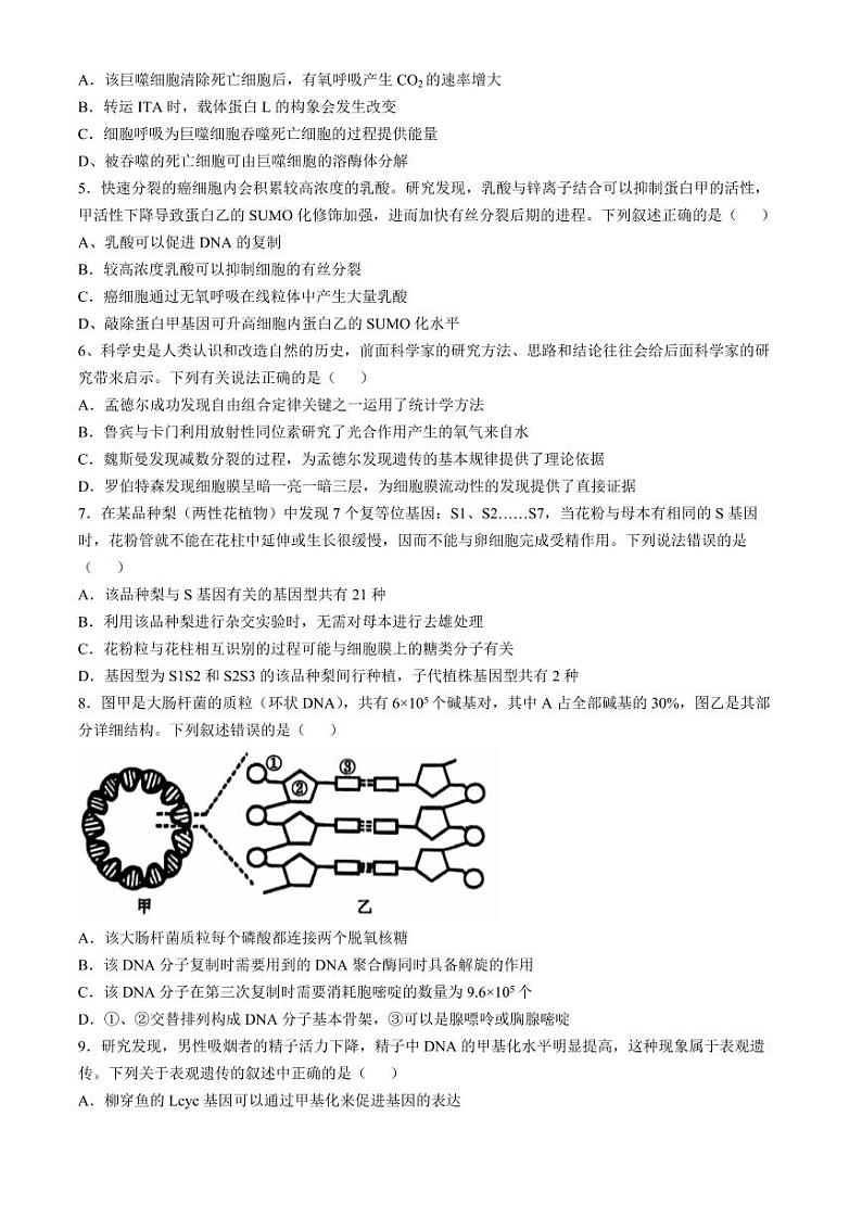 2025届辽宁省沈阳市郊联体高三上学期11月期中考-生物试卷+答案第2页