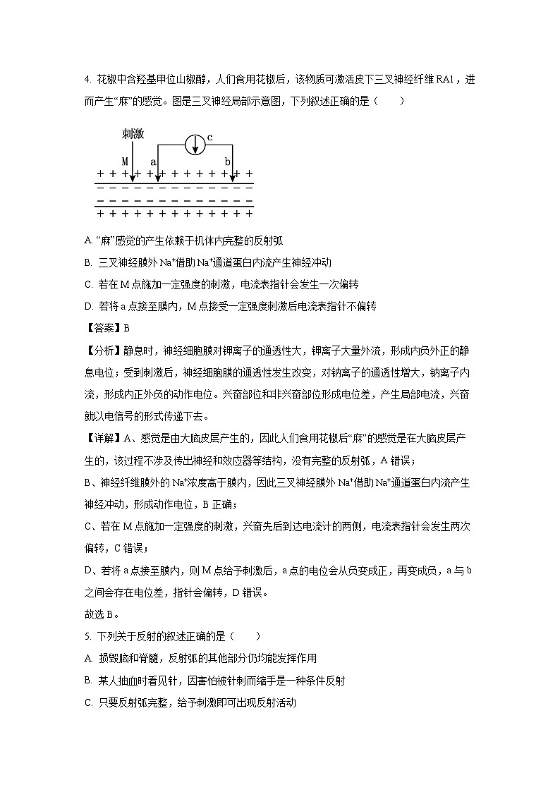2024-2025学年江苏省连云港市东海县高二(上)期中生物试卷(解析版)第3页
