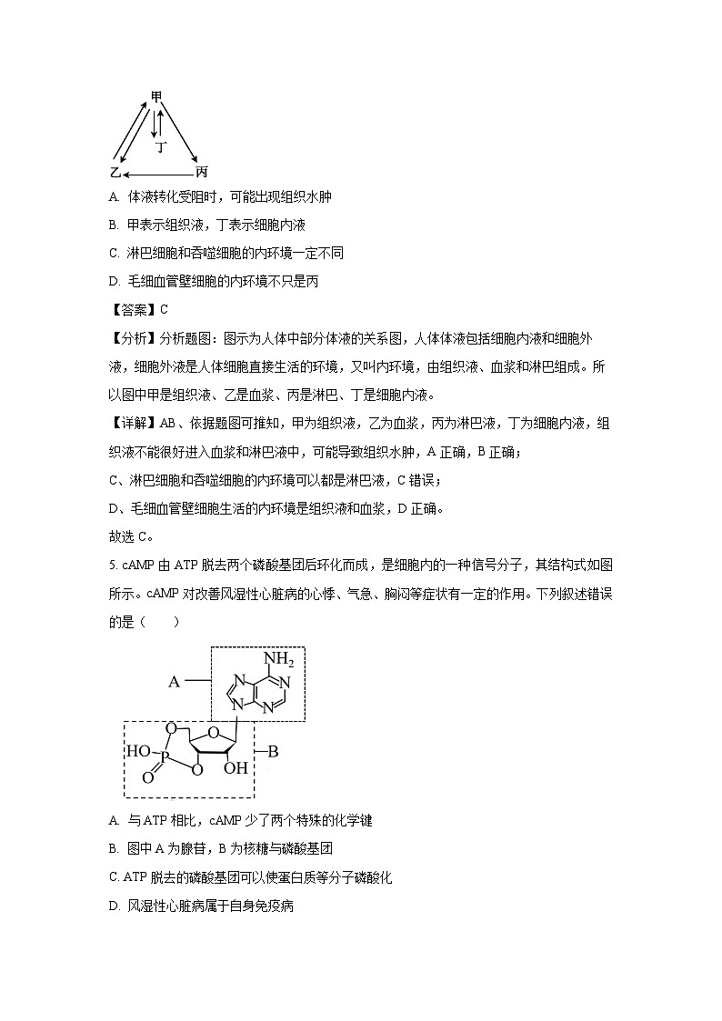 2024-2025学年江苏省无锡市高二(上)学科期中检测卷生物试卷(解析版)第3页