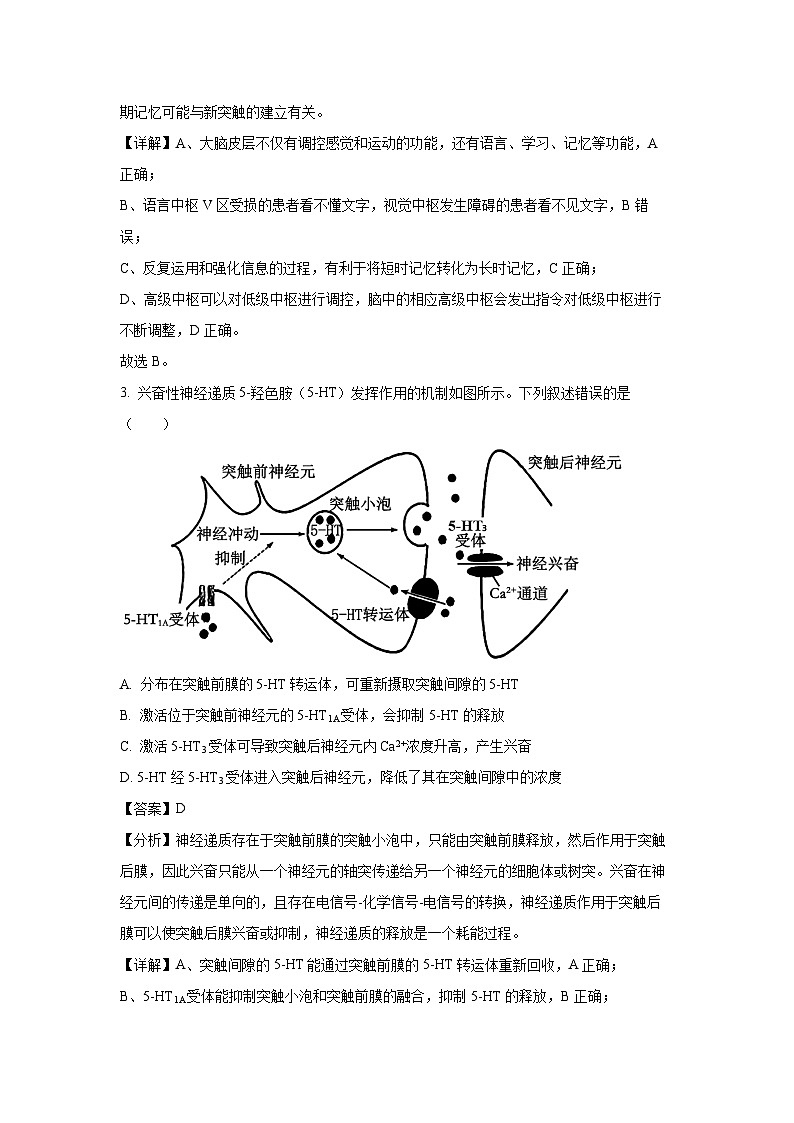 2024-2025学年江苏省南京市高二(上)11月期中生物试卷(解析版)第2页
