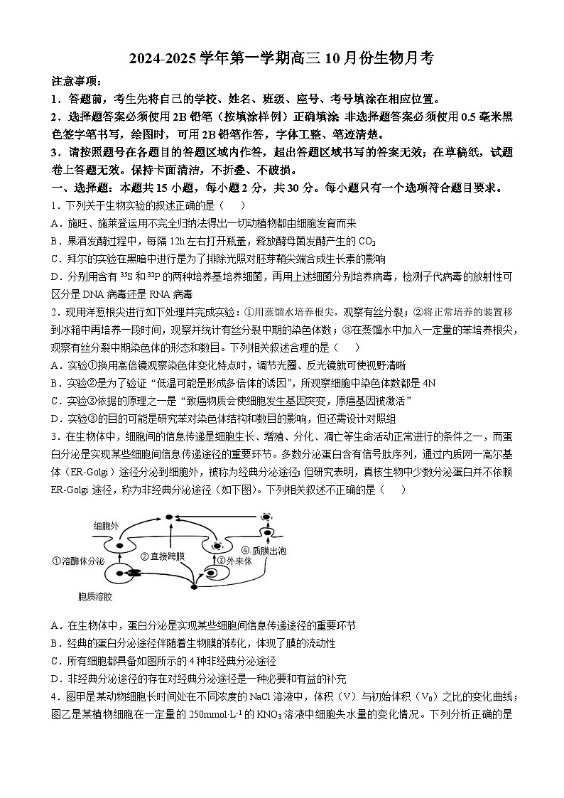 山东省潍坊市安丘市潍坊国开中学2024-2025学年高三上学期11月月考生物试题第1页