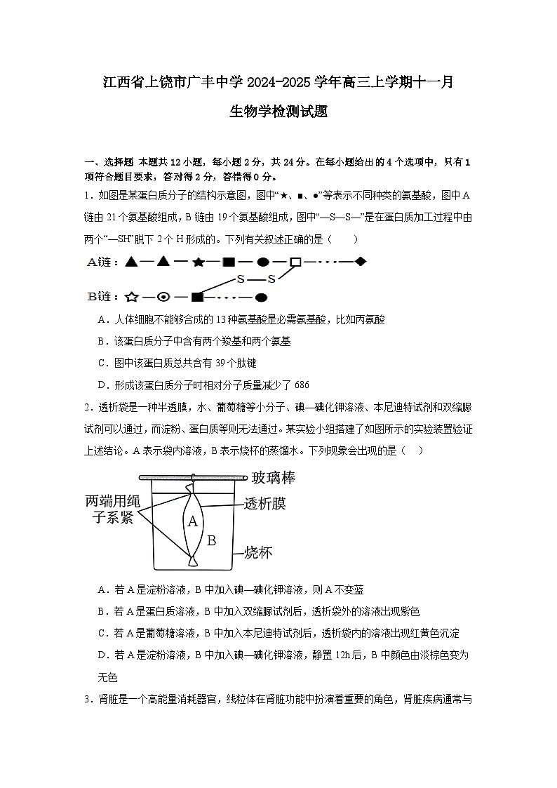 江西省上饶市广丰中学2024-2025学年高三上学期11月生物学检测试题第1页