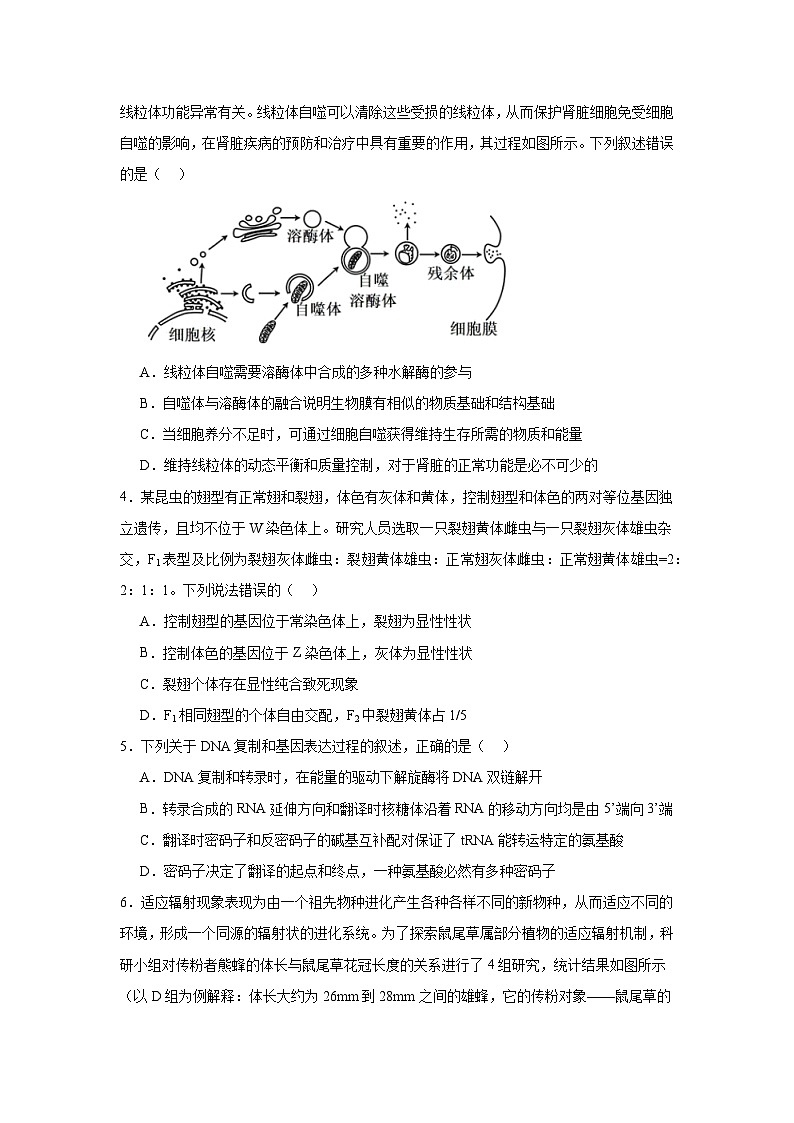 江西省上饶市广丰中学2024-2025学年高三上学期11月生物学检测试题第2页