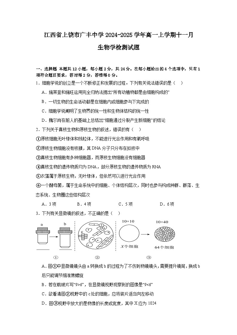 江西省上饶市广丰中学2024-2025学年高一上学期11月检测生物学试题第1页