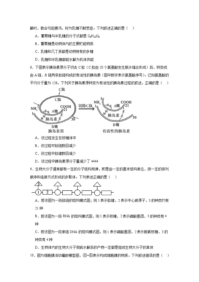 江西省上饶市广丰中学2024-2025学年高一上学期11月检测生物学试题第3页