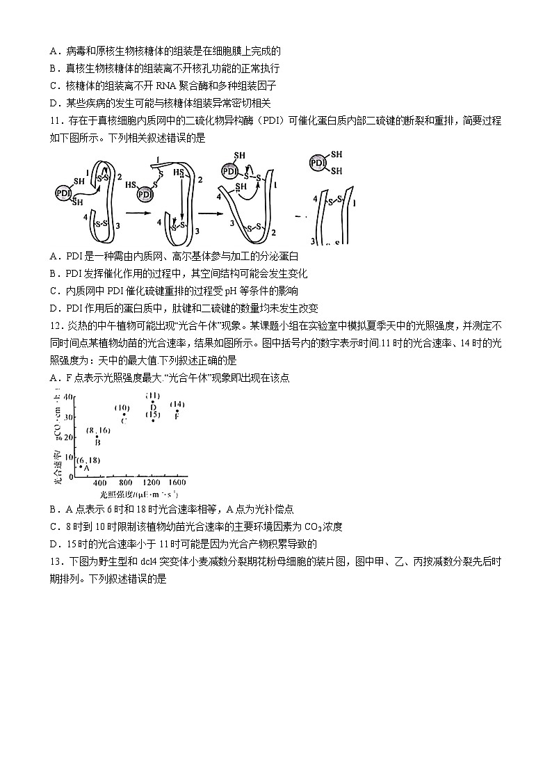 福建省泉州市安溪县2024-2025学年高三上学期11月期中生物试题第3页