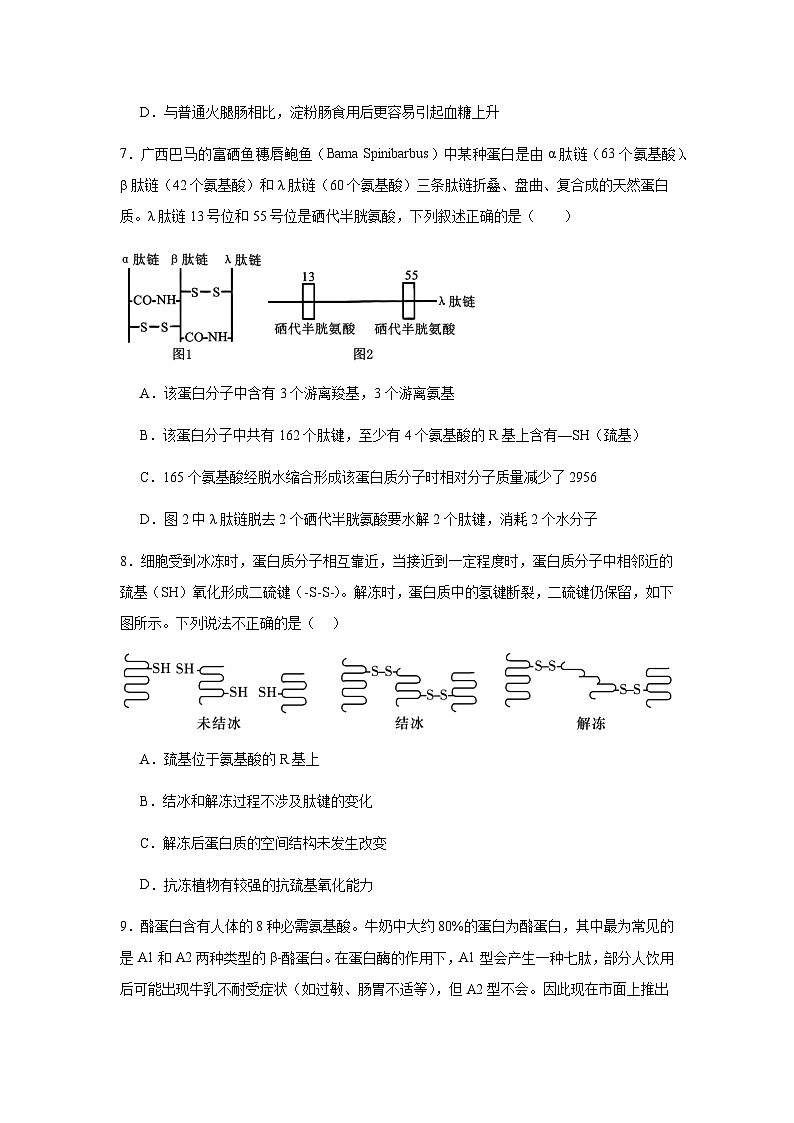 福建省莆田市荔城区莆田第八中学2024-2025学年高一上学期期中考试生物试题第3页
