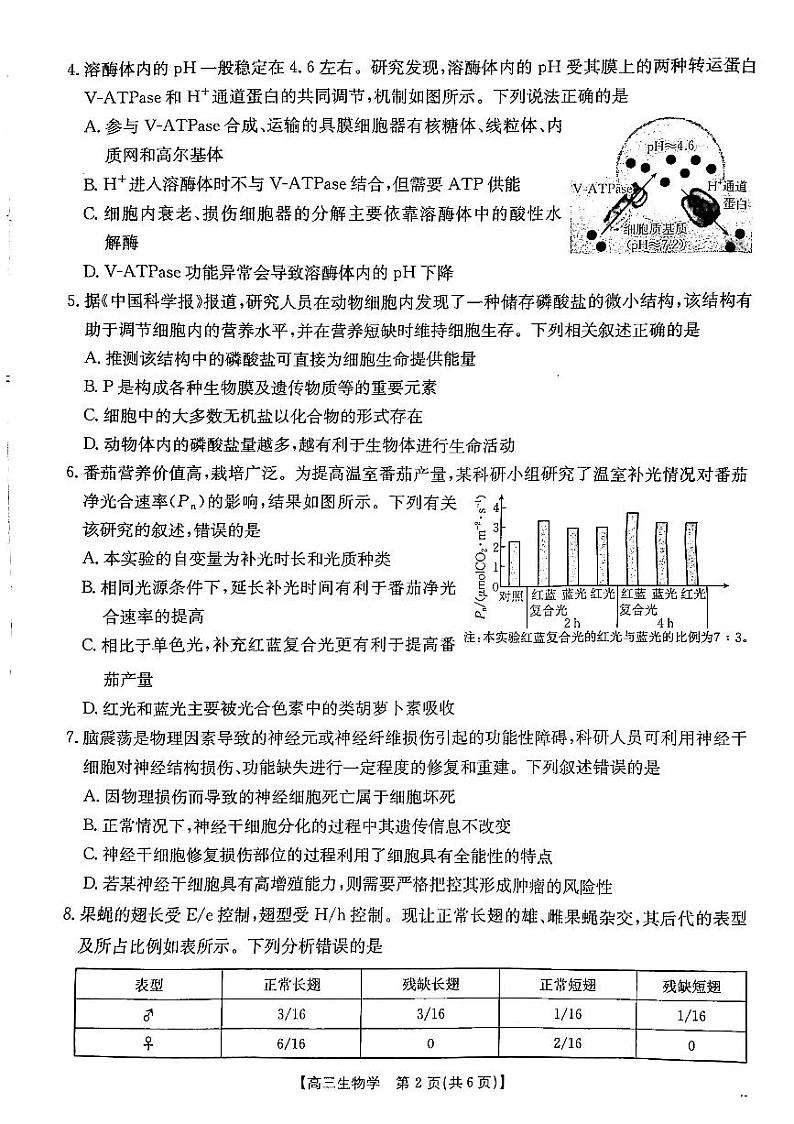 陕西省安康市2024-2025学年高三上学期第一次质量联考生物试题第2页