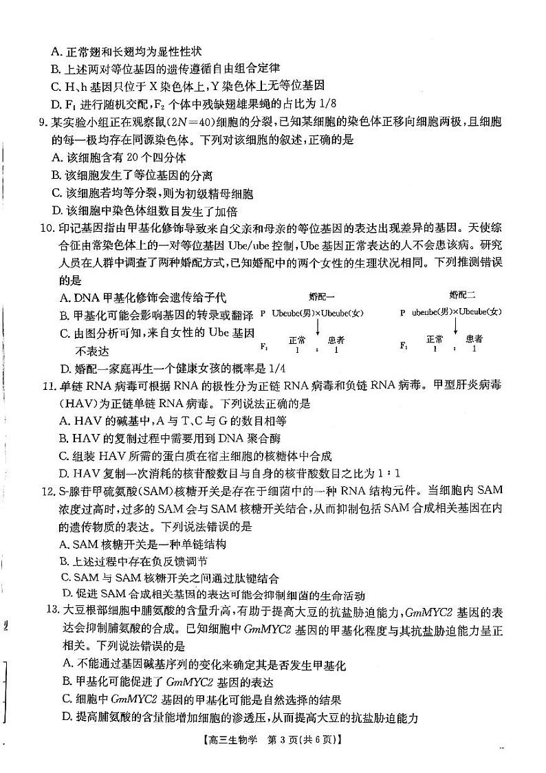 陕西省安康市2024-2025学年高三上学期第一次质量联考生物试题第3页