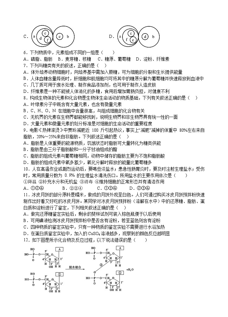 湖北省宜昌市部分示范高中2024-2025学年高一上学期11月期中考试生物试题第2页