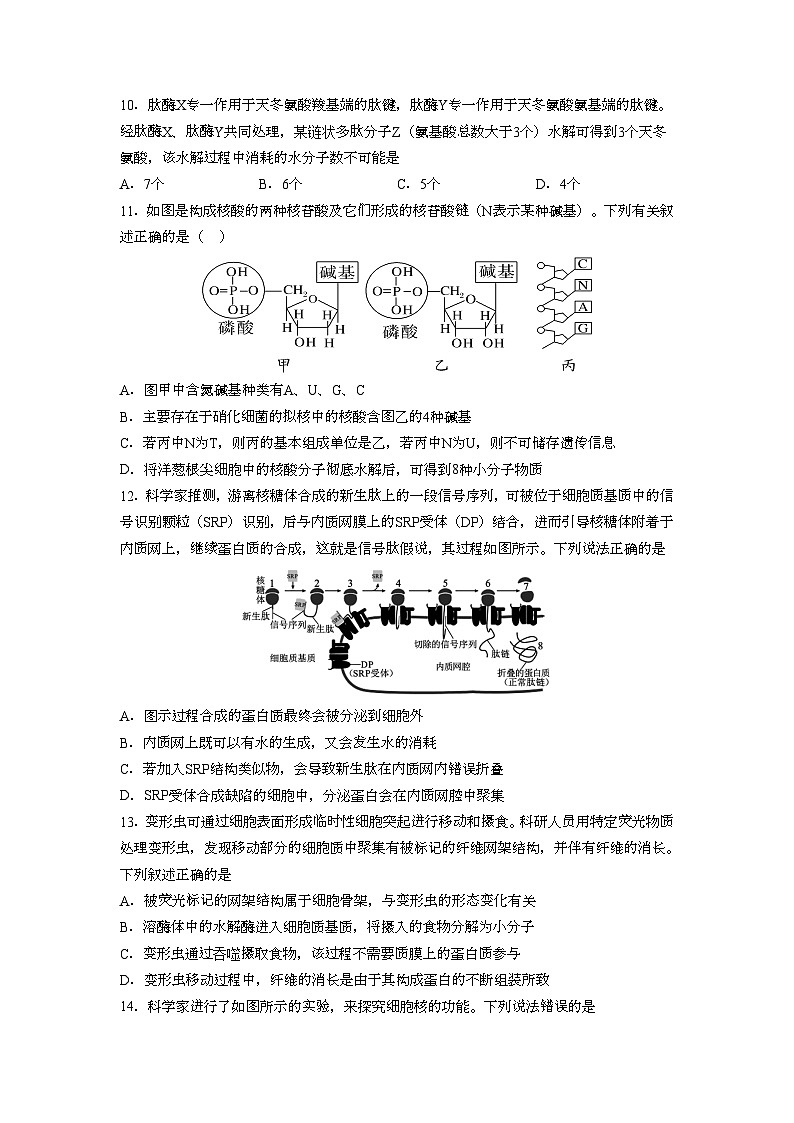 期中-生物试卷第3页